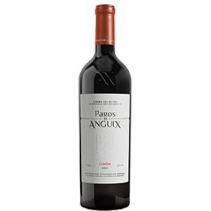 botella_pagosanguix