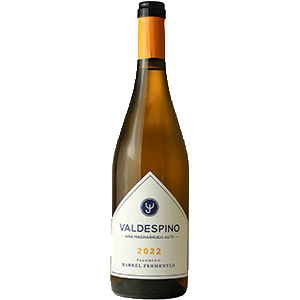 botella_valdespino